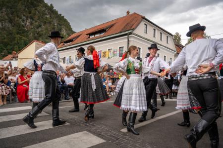Povorka ob dnevih narodnih noš in oblačilne dedščine (10)
